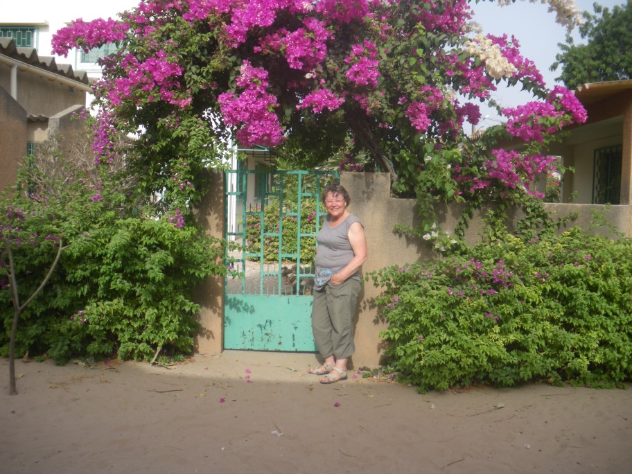 Voyage au Sénégal