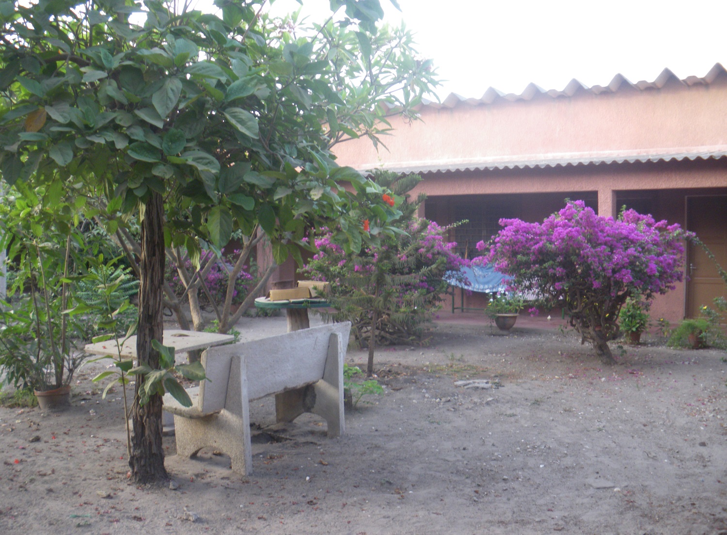 Jardin de la communauté