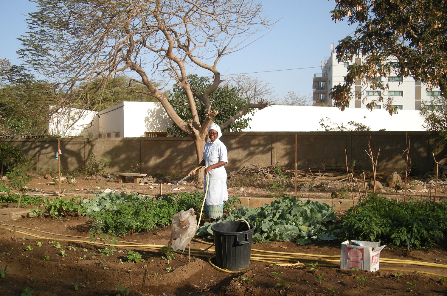 Travail au jardin, dans le potager